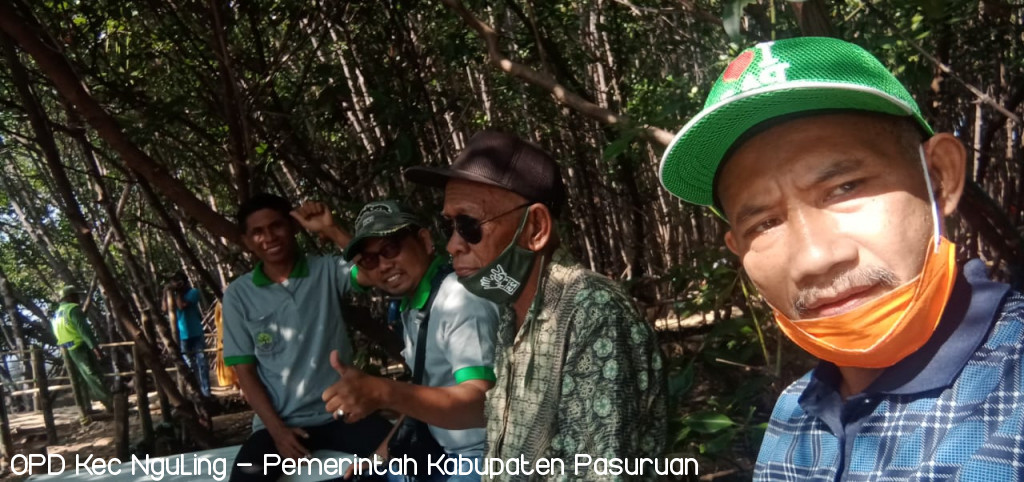 Monitoring Hutan Mangroove Desa Penunggul